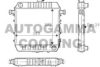 AUTOGAMMA 100656 Radiator, engine cooling